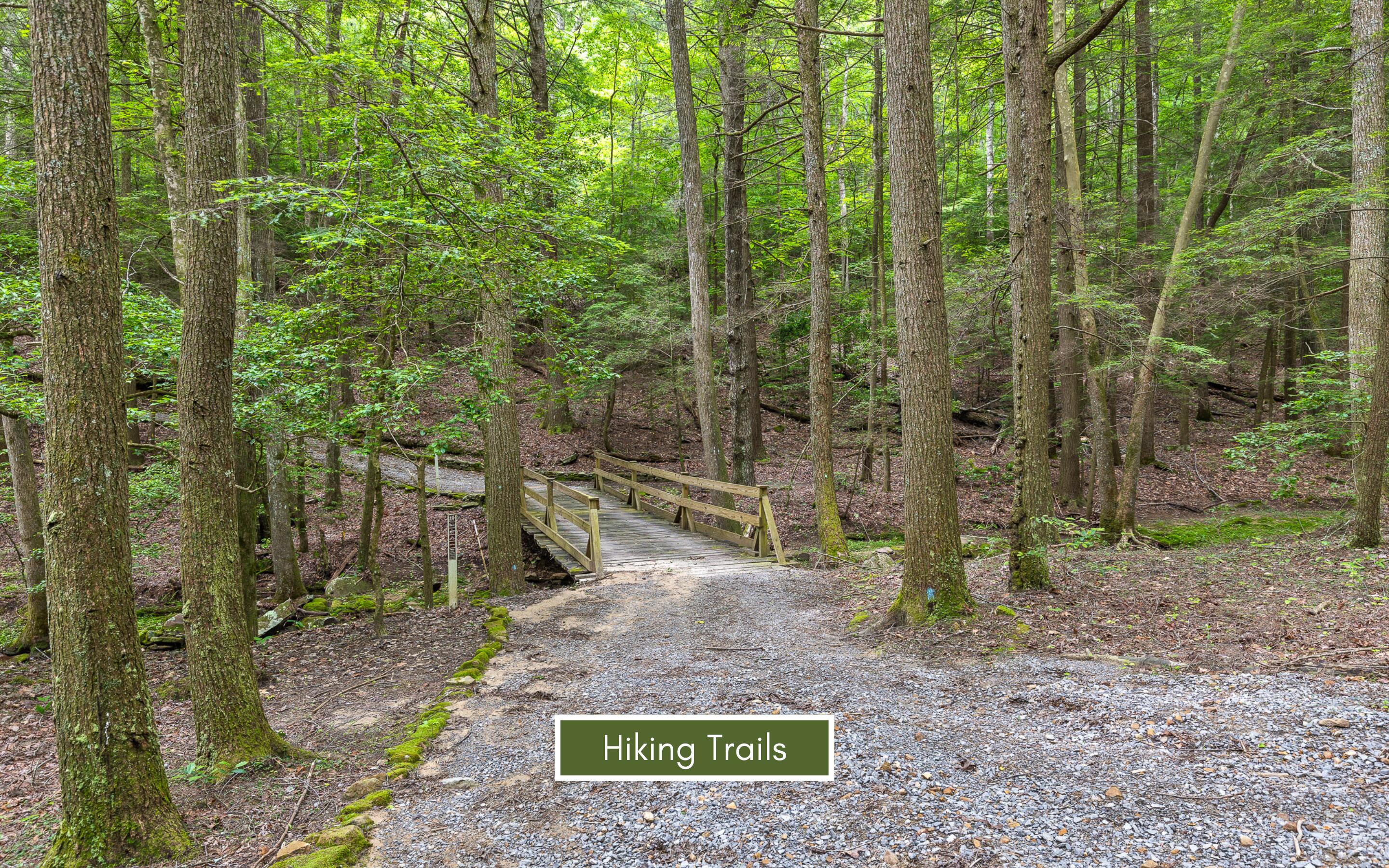 Lot 237 Roaring Creek Road Dunlap, TN 37327 - Photo 18 of 25 Community Amenities