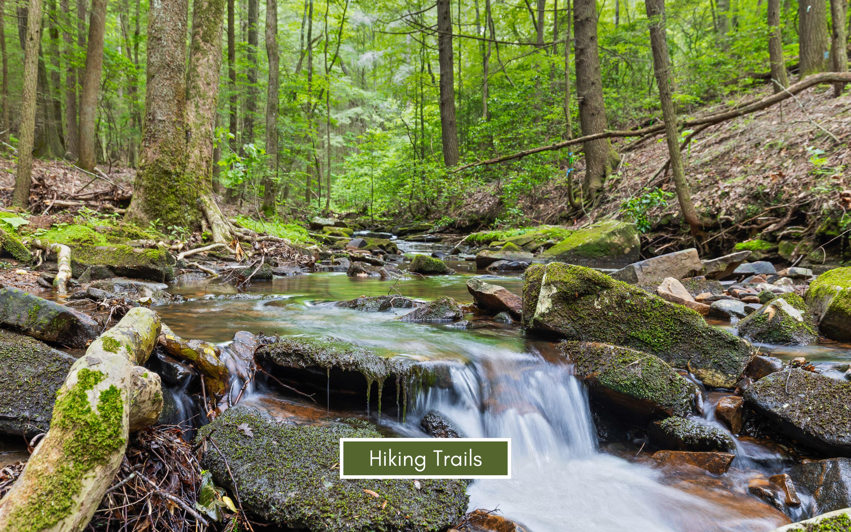 Lot 237 Roaring Creek Road Dunlap, TN 37327 - Photo 19 of 25 Community Amenities