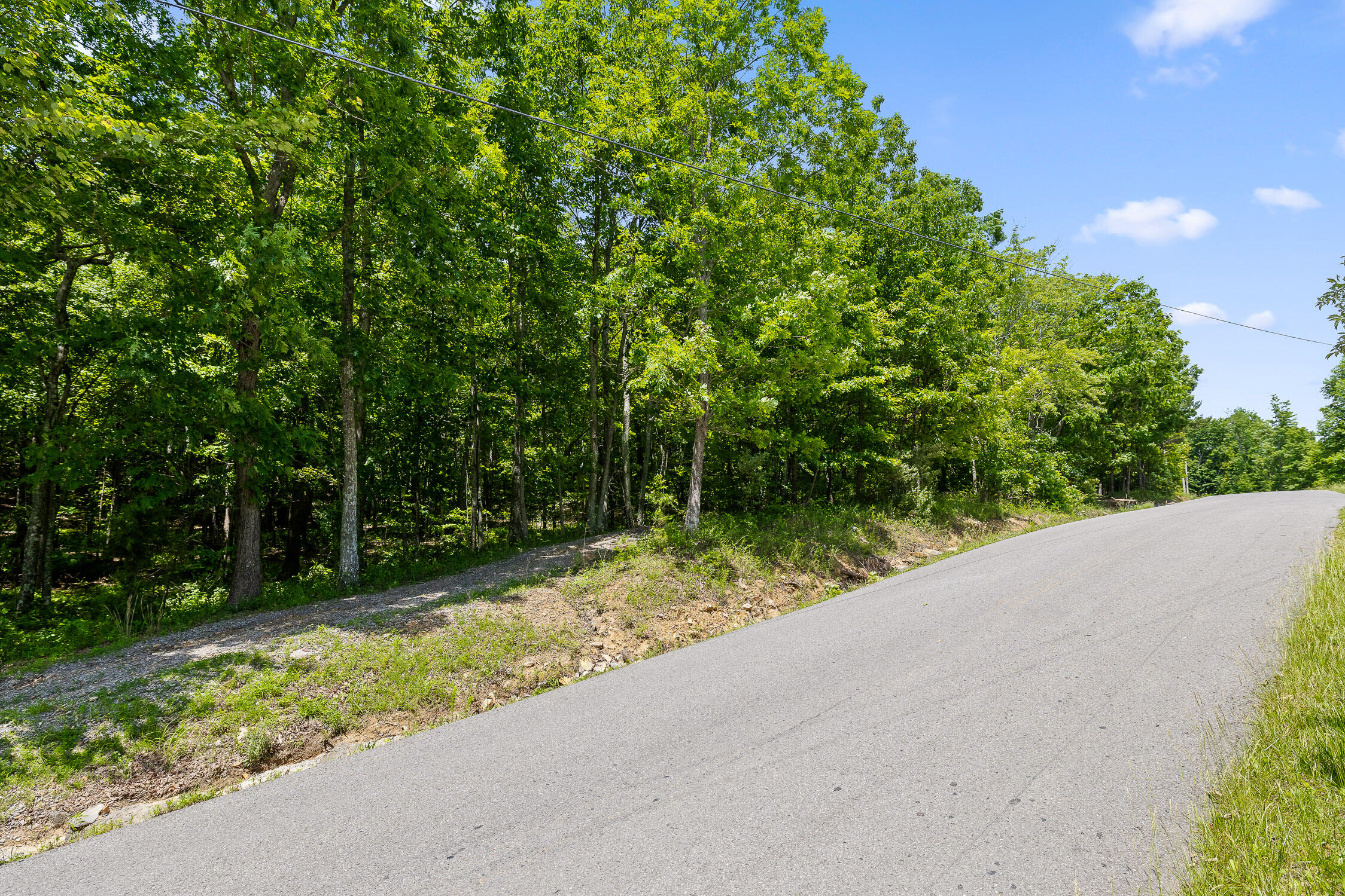 Lot 237 Roaring Creek Road Dunlap, TN 37327 - Photo 9 of 25 Lot 237 Roaring Creek Road