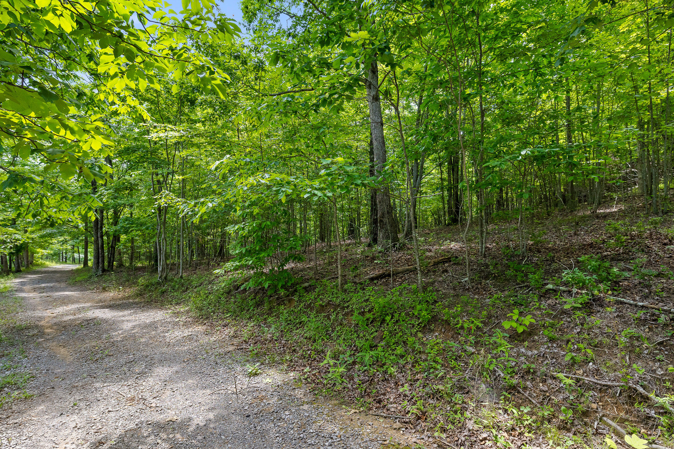 Lot 237 Roaring Creek Road Dunlap, TN 37327 - Photo 10 of 25 Lot 237 Roaring Creek Road