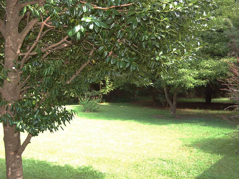 115 Oak Ridge Drive Willow Spring, NC 27592 - Photo 24 of 25 Yard