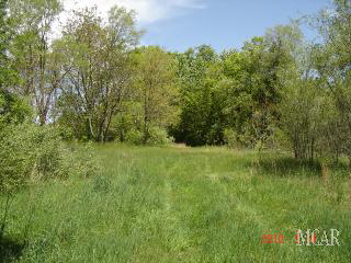 1454 West Temperance Road Temperance, MI 48182 - Photo 3 of 14 Wooded Back Yard