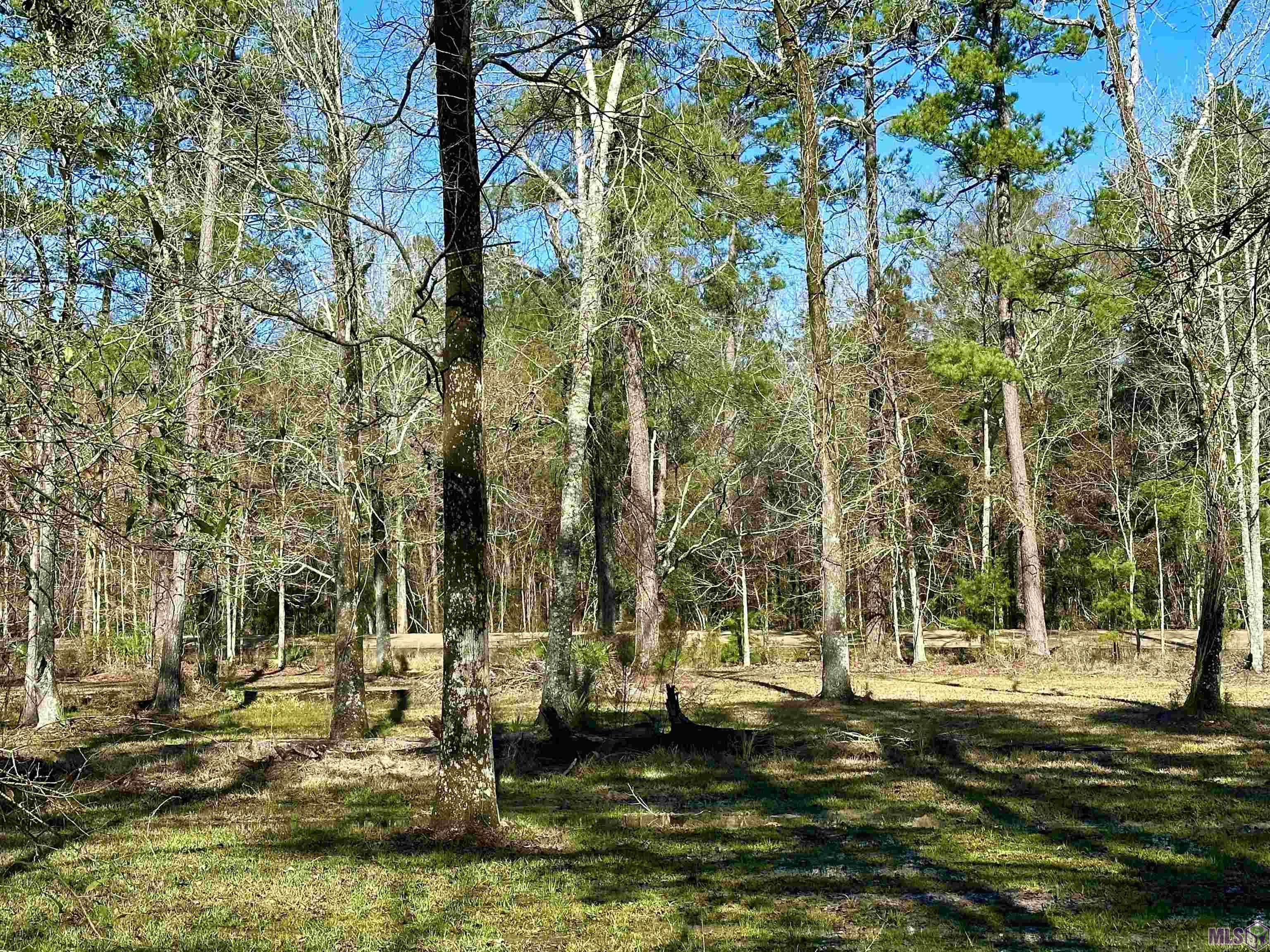 B-5 Perkins Road Denham Springs, LA 70706 - Photo 3 of 3