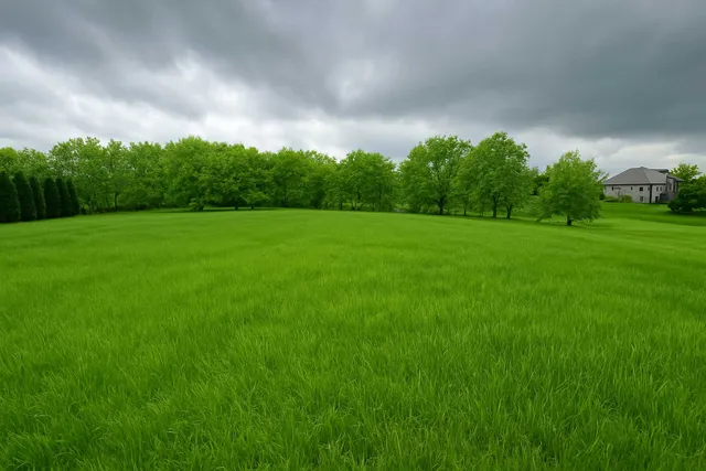 a view of field with trees in the background