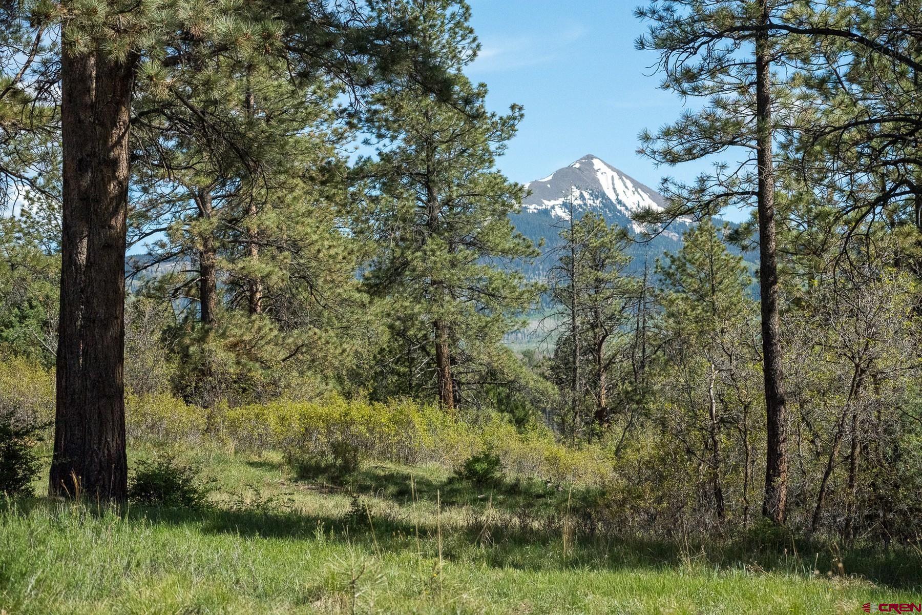 Tract 13-5 M44 Road Placerville, CO 81430 - Photo 12 of 22 Gallery Image 12
