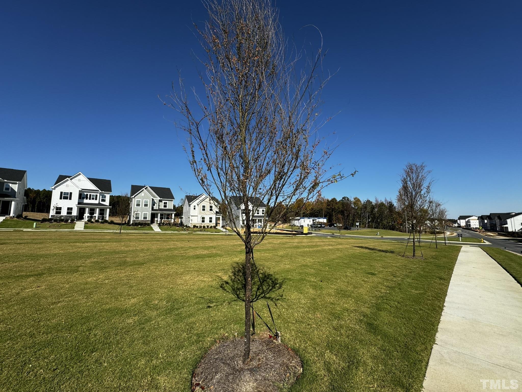 192 Edge Of Auburn Boulevard Raleigh, NC 27610 - Photo 38 of 44