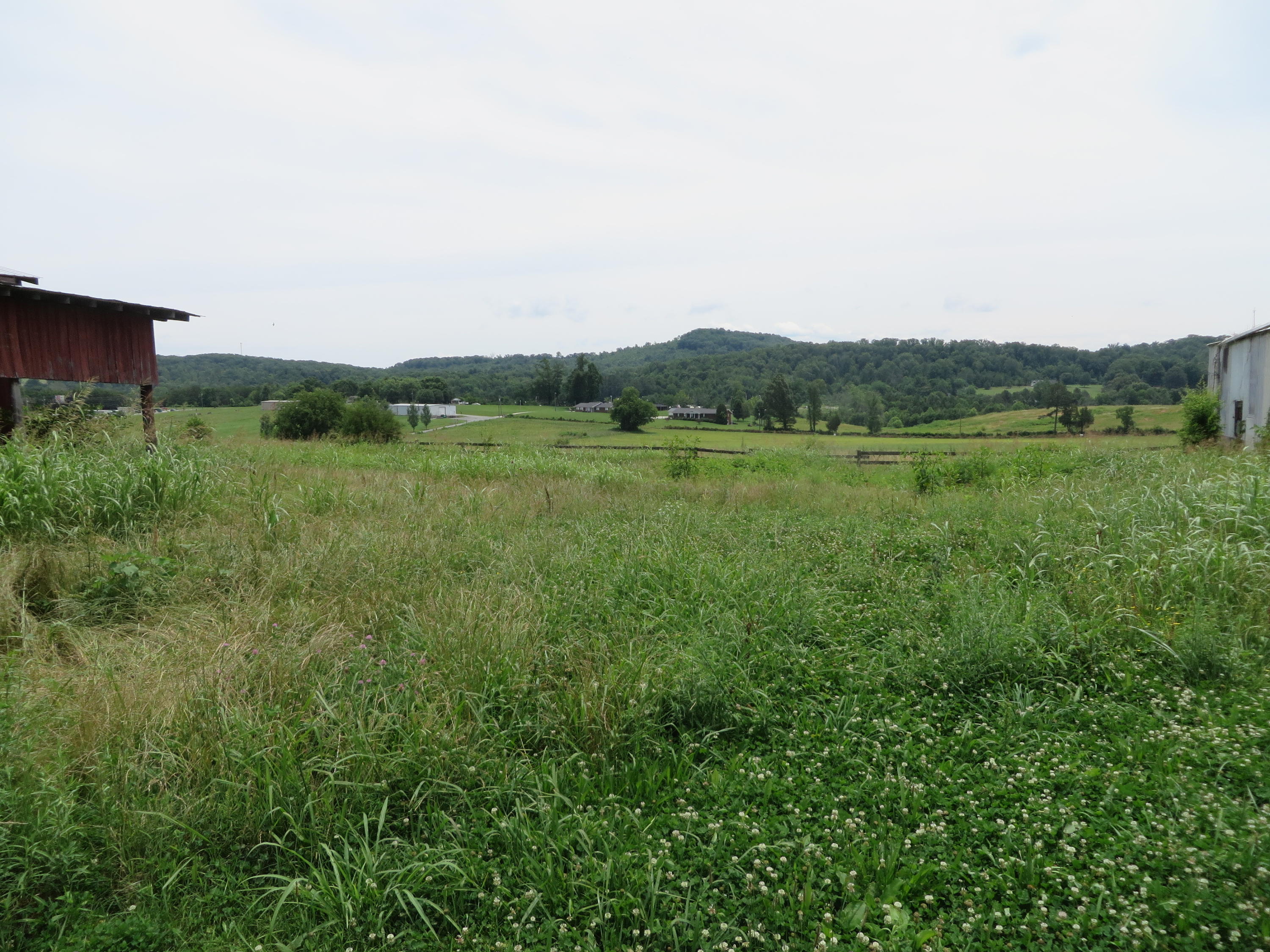 321 Gun Ridge Road Vonore, TN 37885 - Photo 14 of 39 IMG_2213