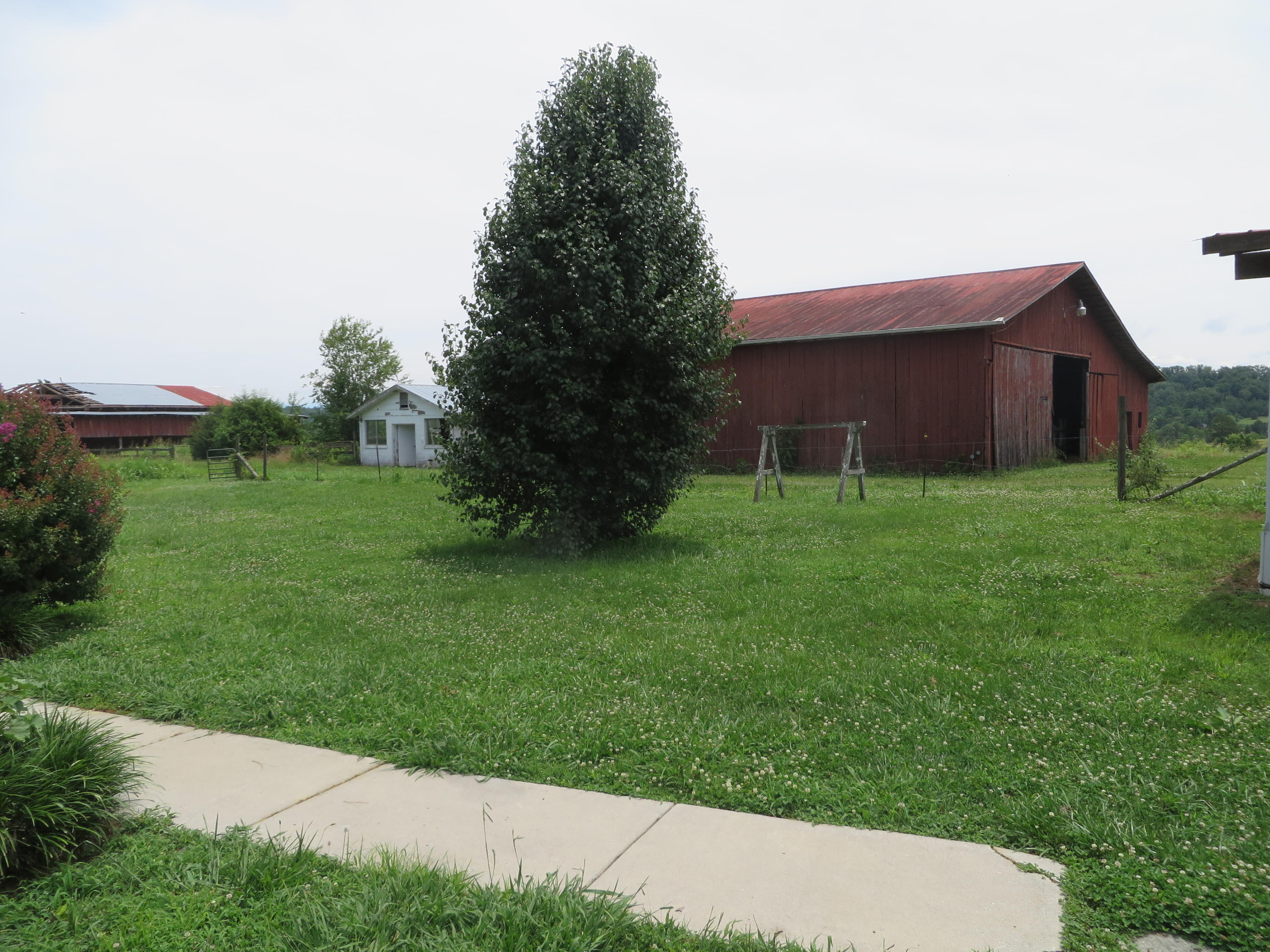 321 Gun Ridge Road Vonore, TN 37885 - Photo 9 of 39 IMG_2208