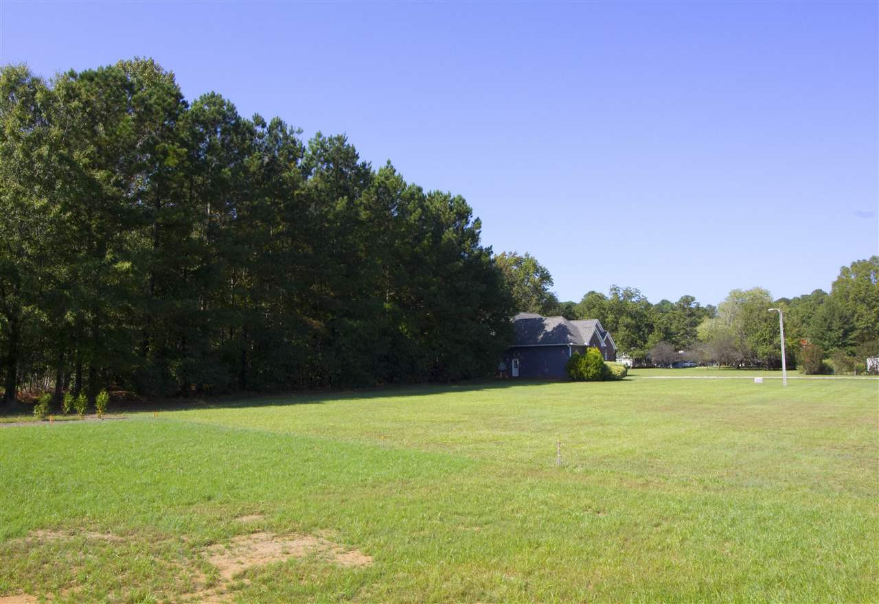 9924 Fanny Brown Road Raleigh, NC 27603 - Photo 24 of 25 Photo 24