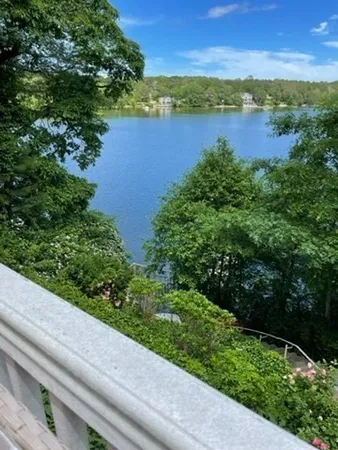 a view of a lake with a city view