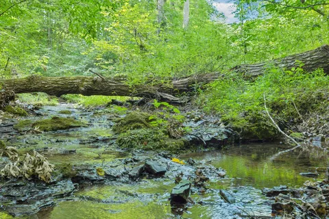 $4,750,000 | 5557 Parker Branch Road, Franklin, TN 37064