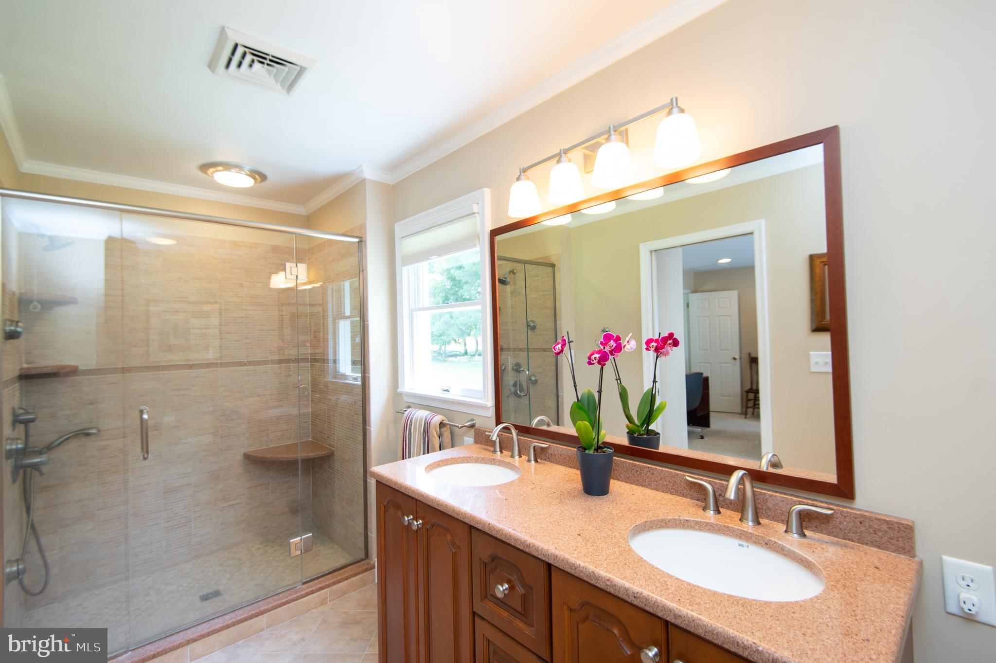 412 Talbot Avenue Cambridge, MD 21613 - Photo 17 of 32 a bathroom with a granite countertop sink mirror and a shower