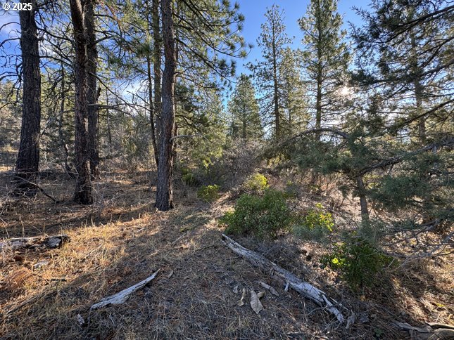 Hummingbird Drive, Unit 13 Bonanza, OR 97623 - Photo 1 of 17