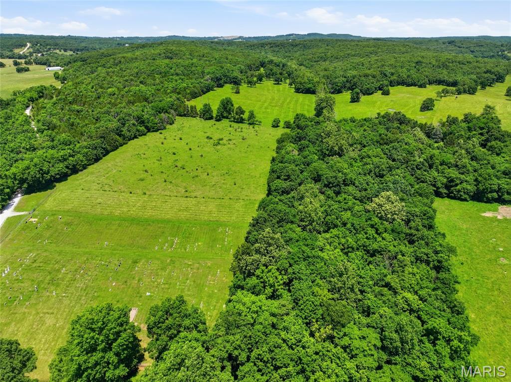 0 Pleasant Hill Road Mountain Grove, MO 65711 - Photo 9 of 51