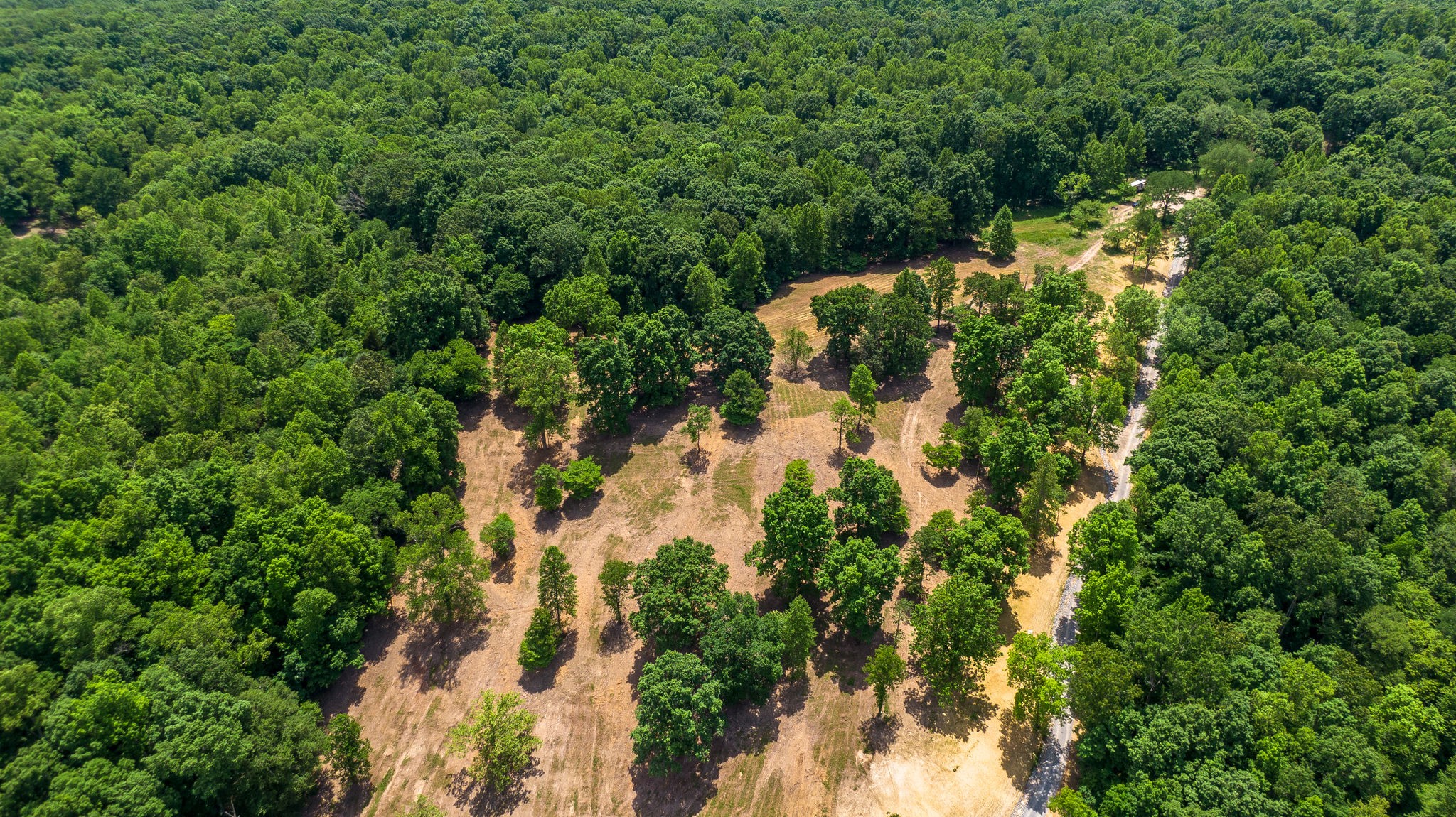 5861 Garrison Road Franklin, TN 37064 - Photo 13 of 50