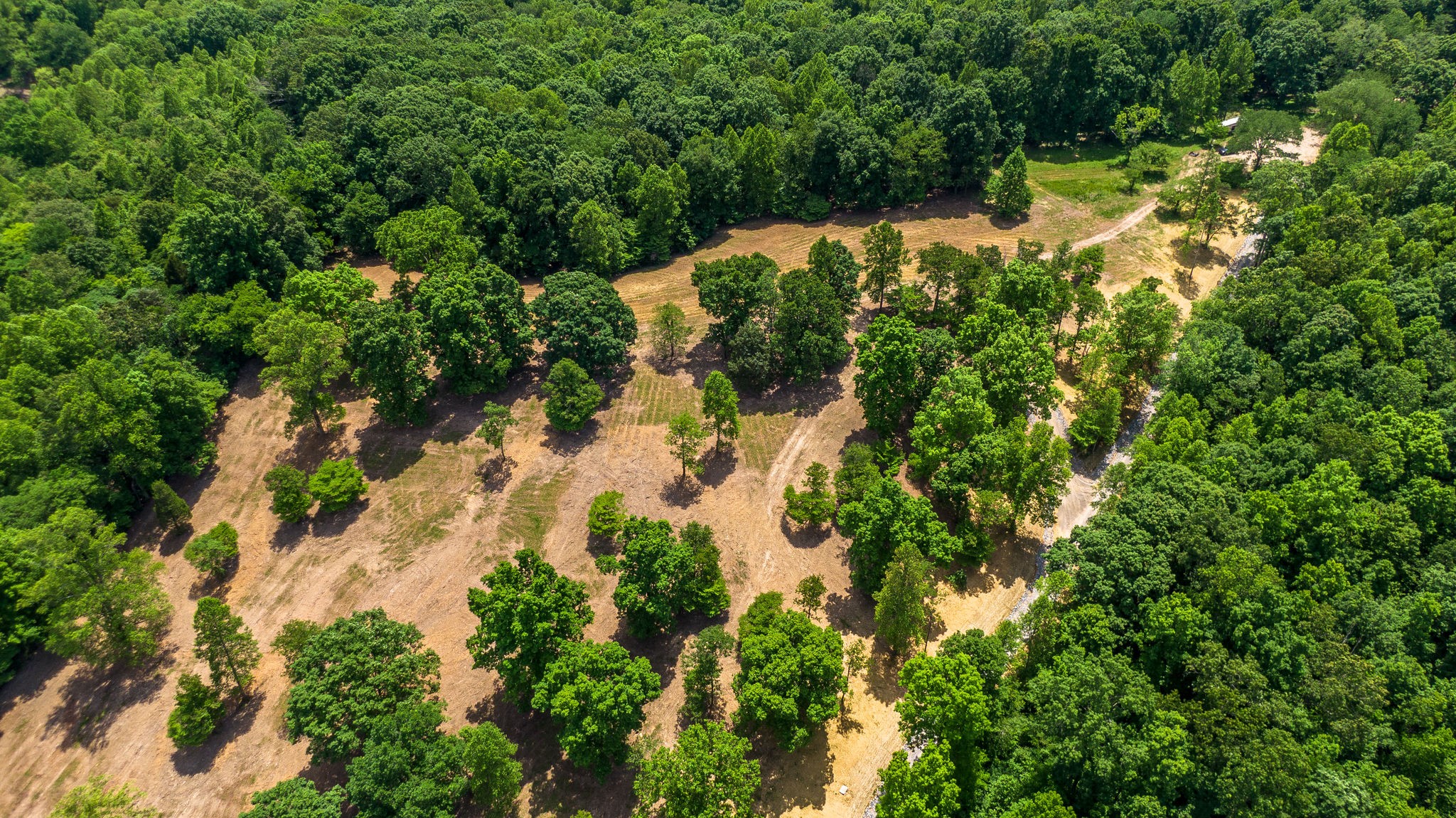 5861 Garrison Road Franklin, TN 37064 - Photo 14 of 50