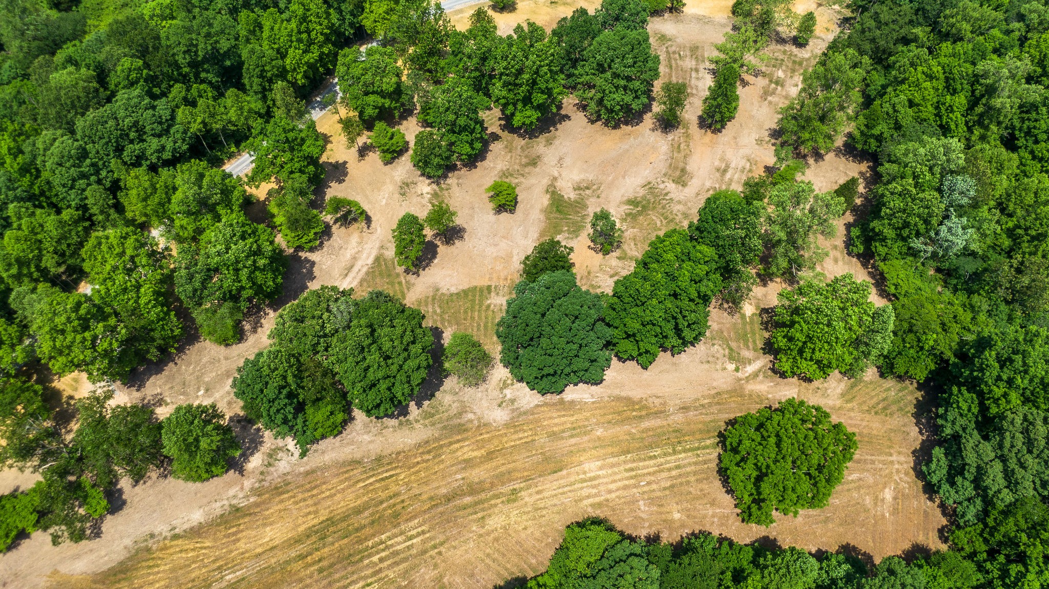 5861 Garrison Road Franklin, TN 37064 - Photo 15 of 50