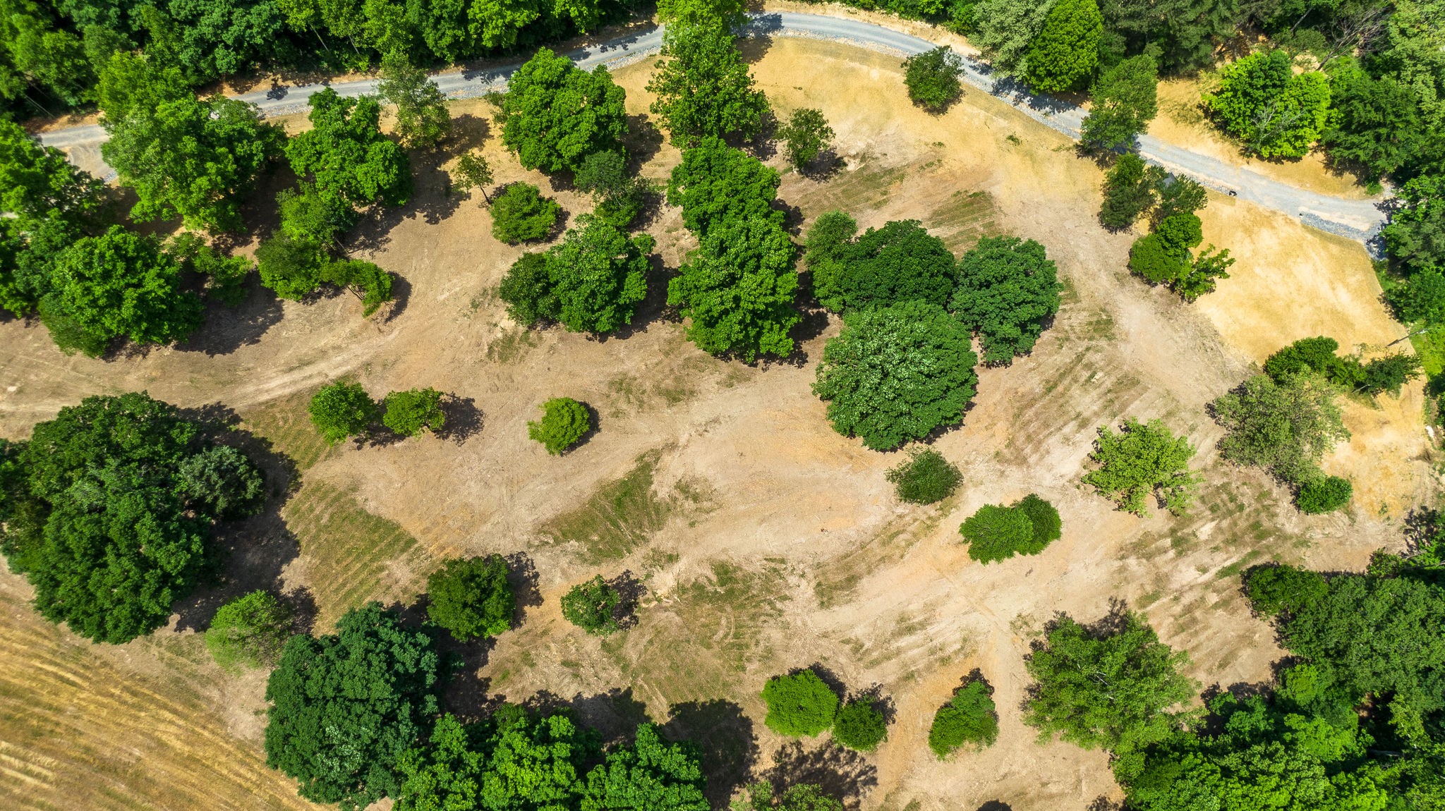 5861 Garrison Road Franklin, TN 37064 - Photo 16 of 50