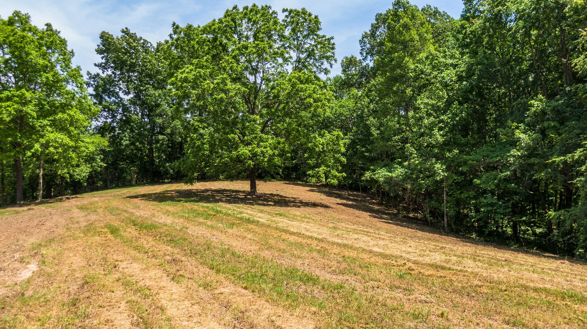5861 Garrison Road Franklin, TN 37064 - Photo 19 of 50