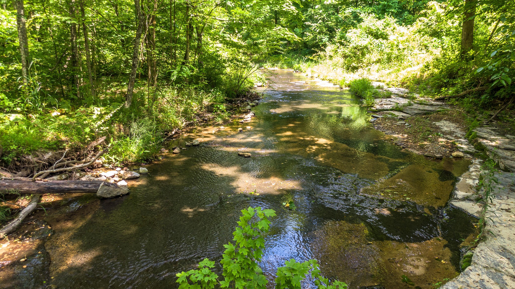 5861 Garrison Road Franklin, TN 37064 - Photo 3 of 50