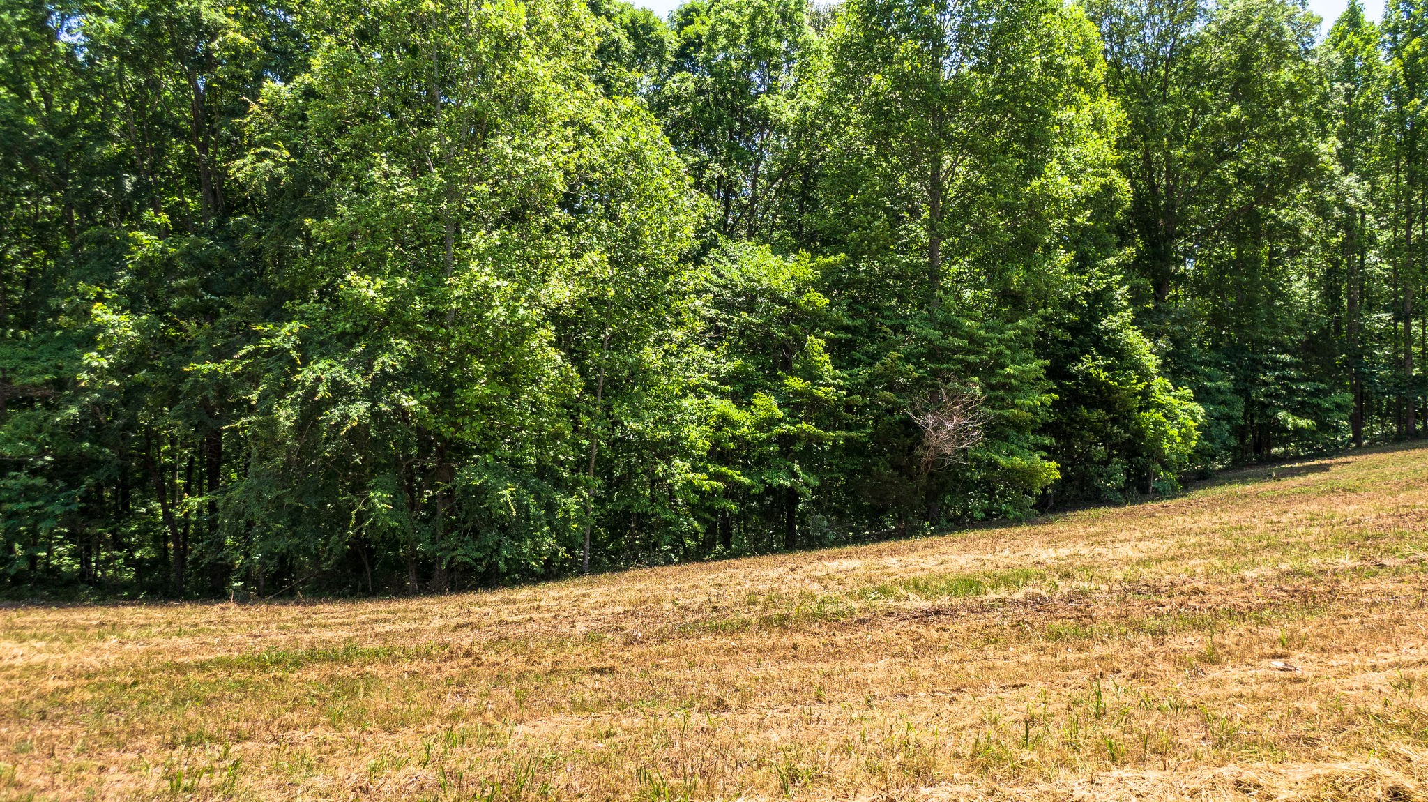 5861 Garrison Road Franklin, TN 37064 - Photo 21 of 50