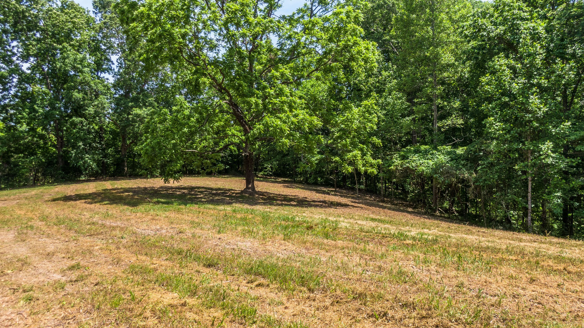 5861 Garrison Road Franklin, TN 37064 - Photo 22 of 50