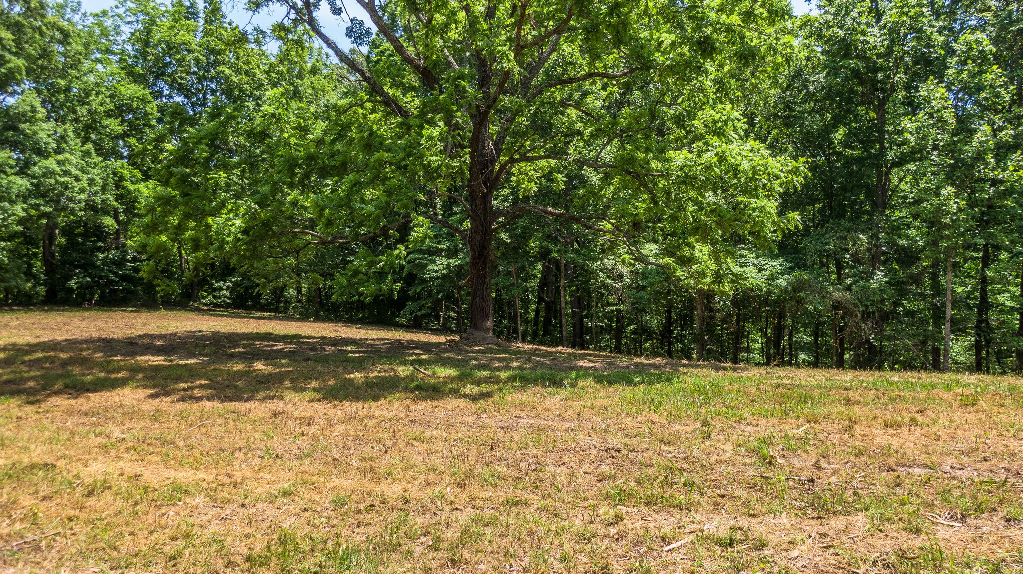 5861 Garrison Road Franklin, TN 37064 - Photo 23 of 50