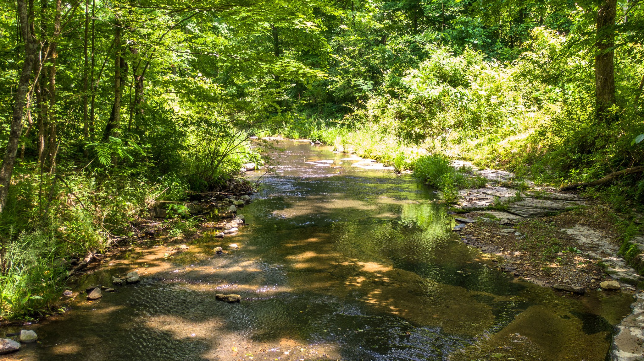 5861 Garrison Road Franklin, TN 37064 - Photo 4 of 50