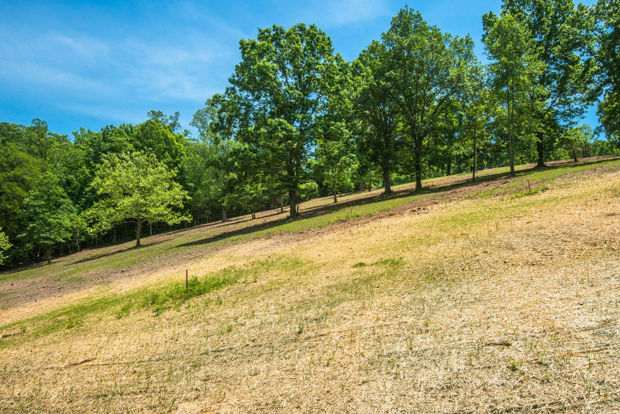 5861 Garrison Road Franklin, TN 37064 - Photo 31 of 50