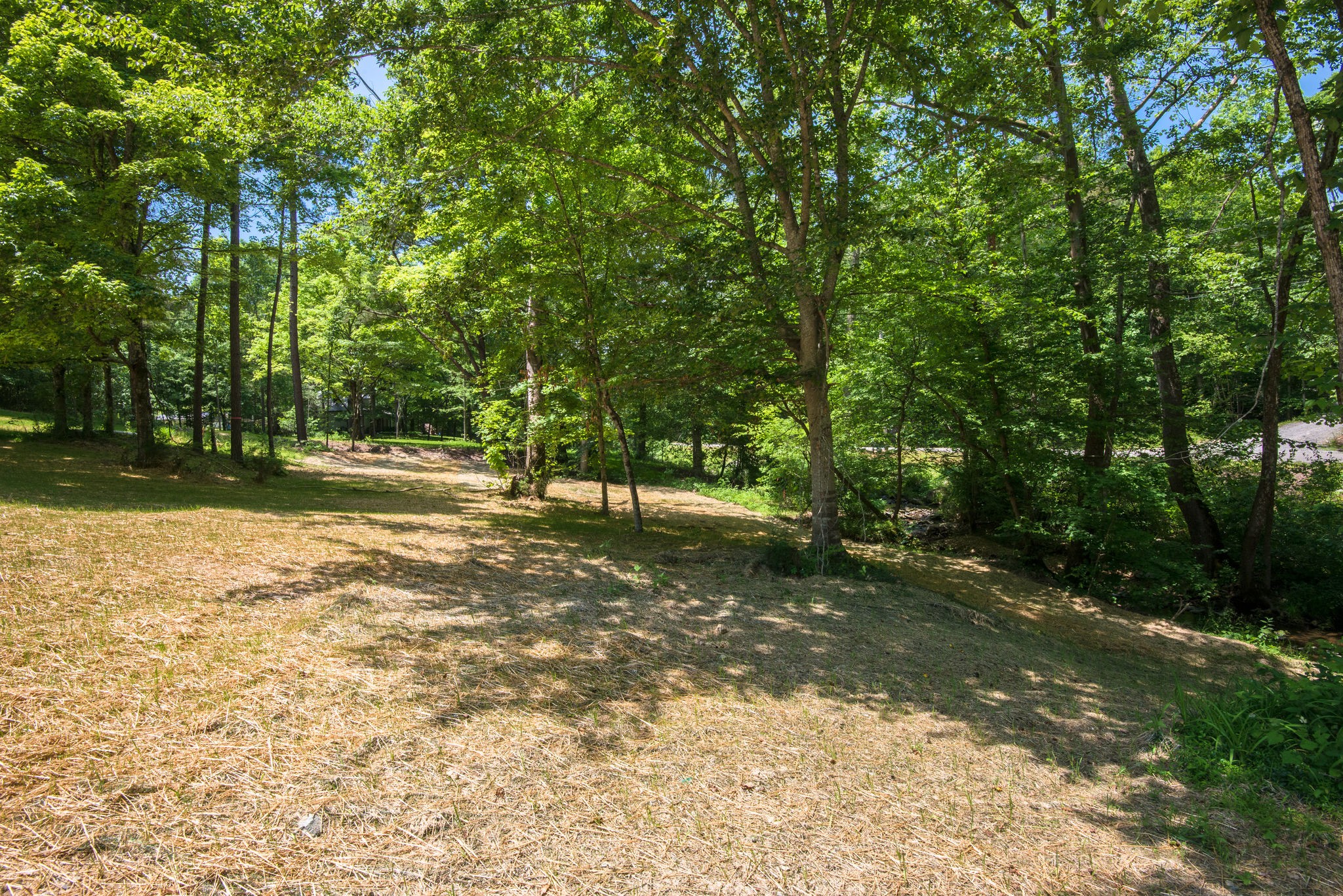 5861 Garrison Road Franklin, TN 37064 - Photo 33 of 50