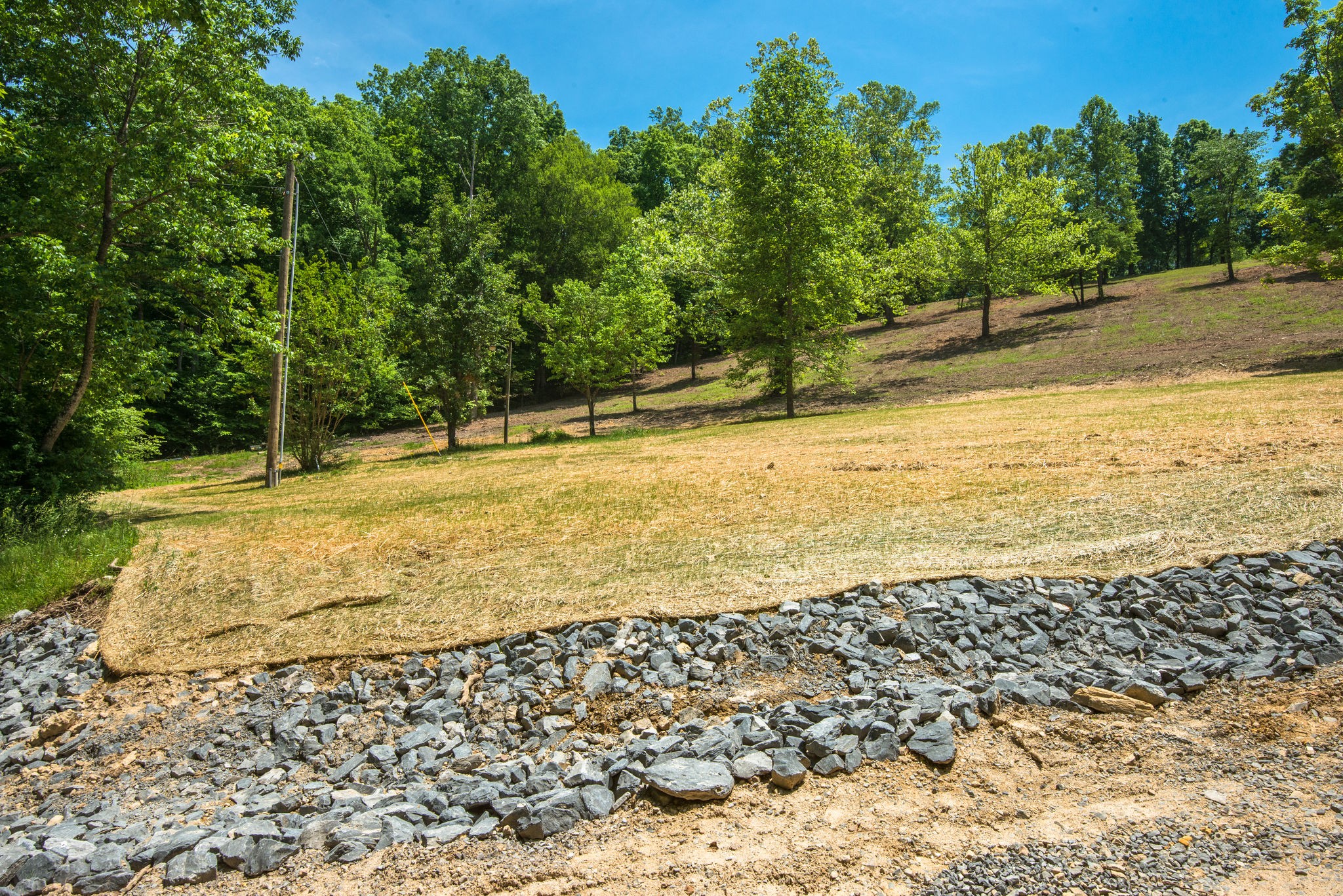 5861 Garrison Road Franklin, TN 37064 - Photo 34 of 50