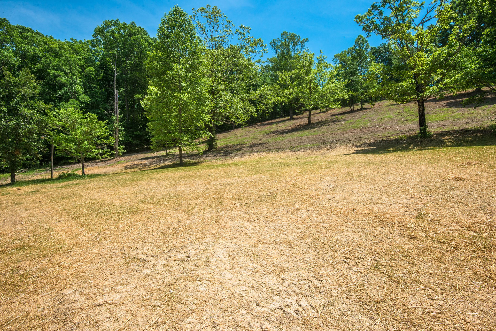 5861 Garrison Road Franklin, TN 37064 - Photo 36 of 50