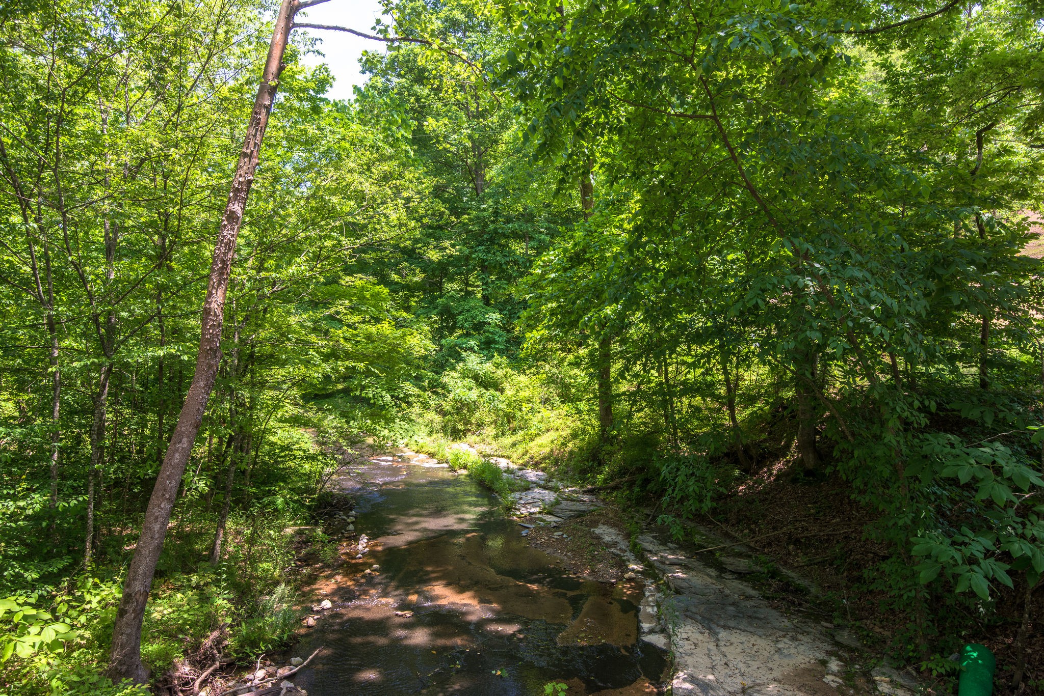 5861 Garrison Road Franklin, TN 37064 - Photo 40 of 50