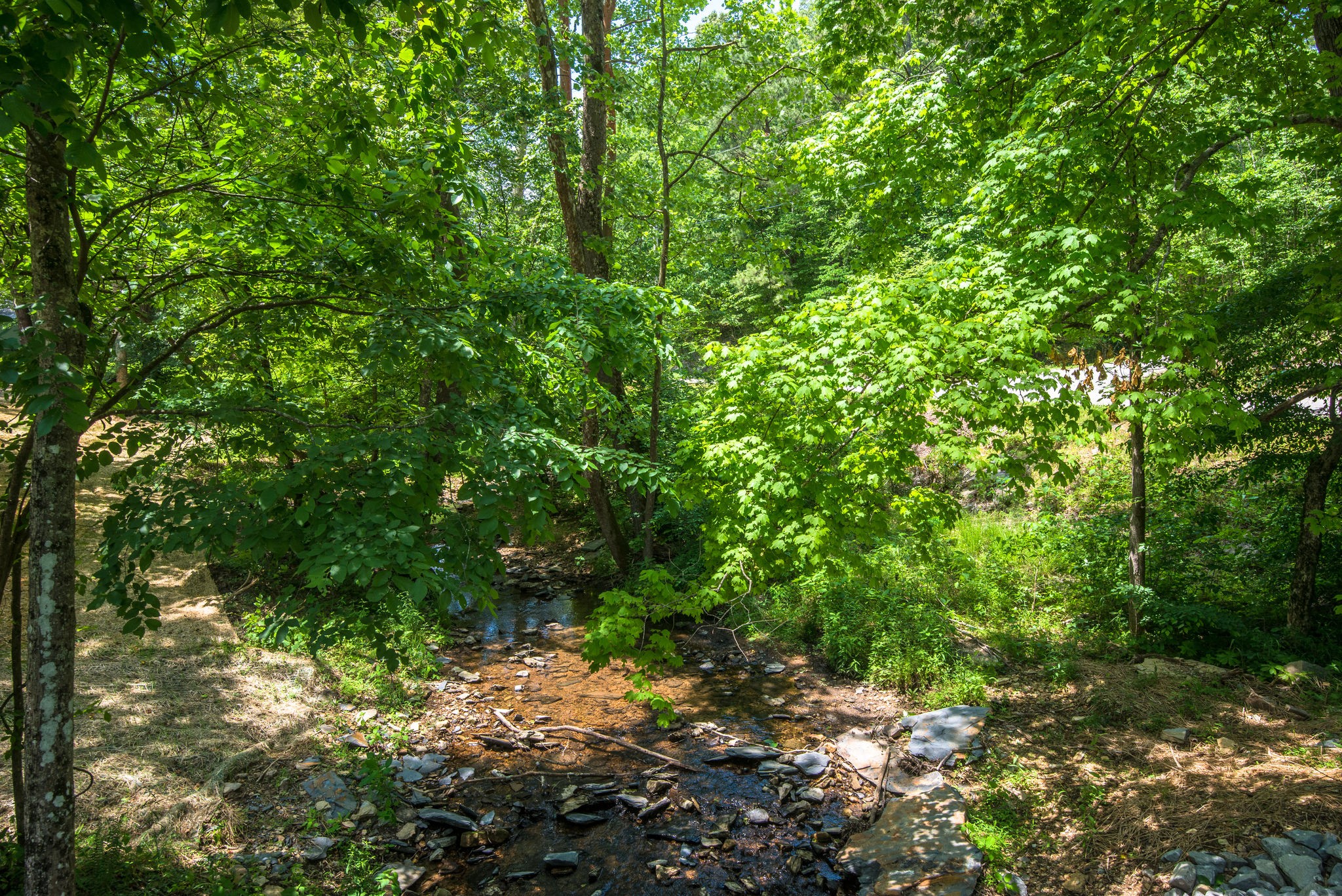 5861 Garrison Road Franklin, TN 37064 - Photo 41 of 50