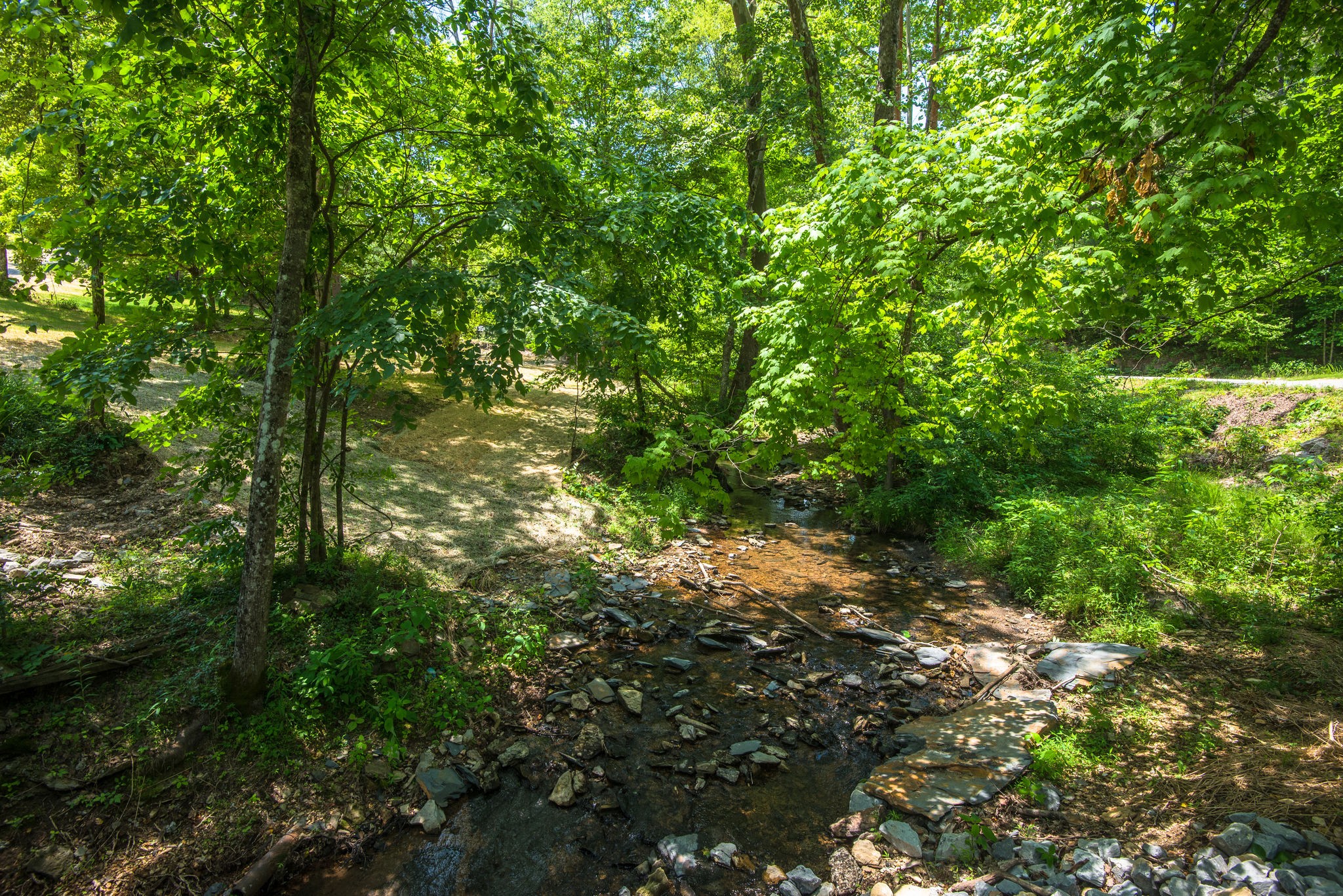 5861 Garrison Road Franklin, TN 37064 - Photo 42 of 50