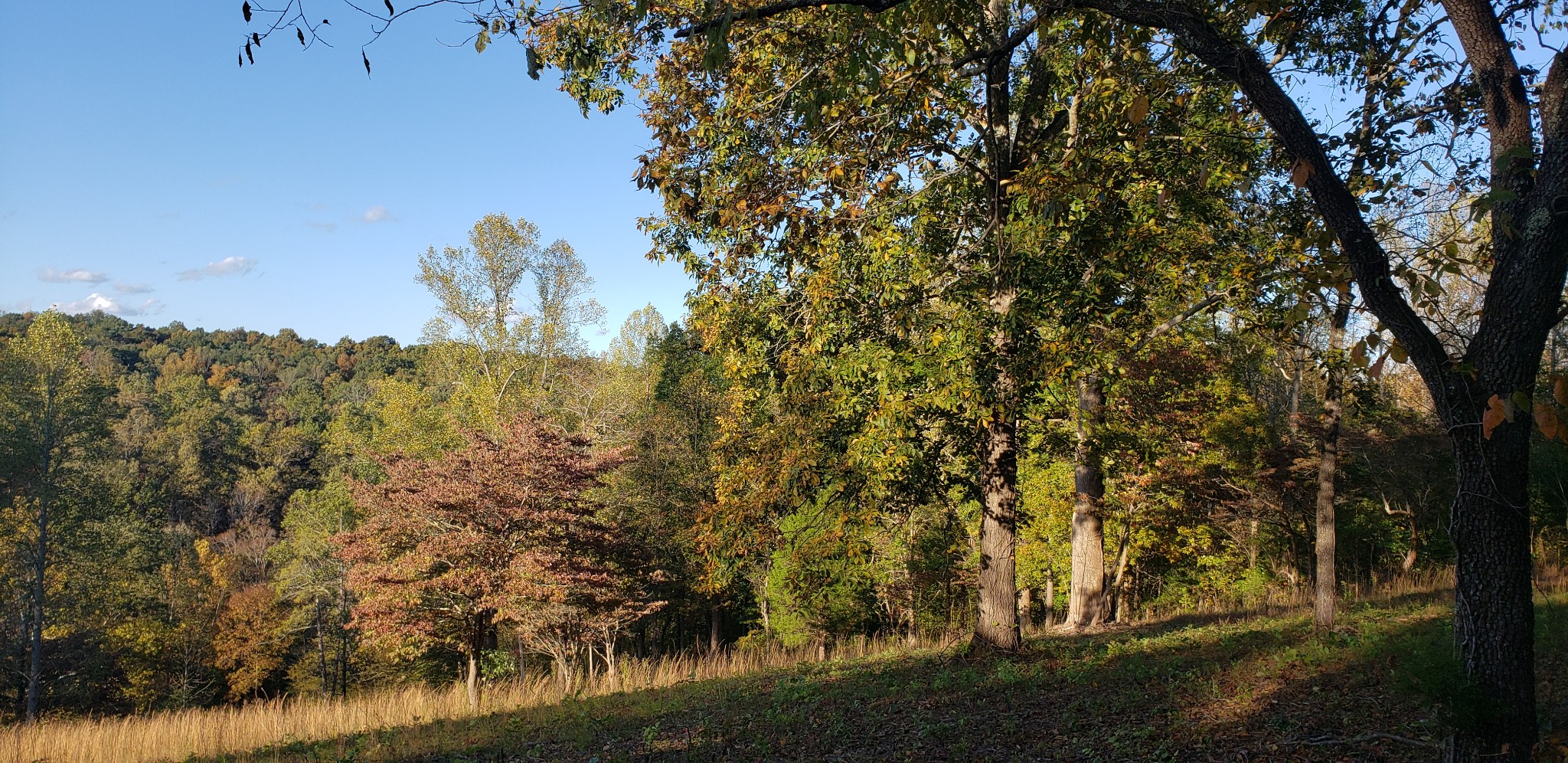 5861 Garrison Road Franklin, TN 37064 - Photo 50 of 50
