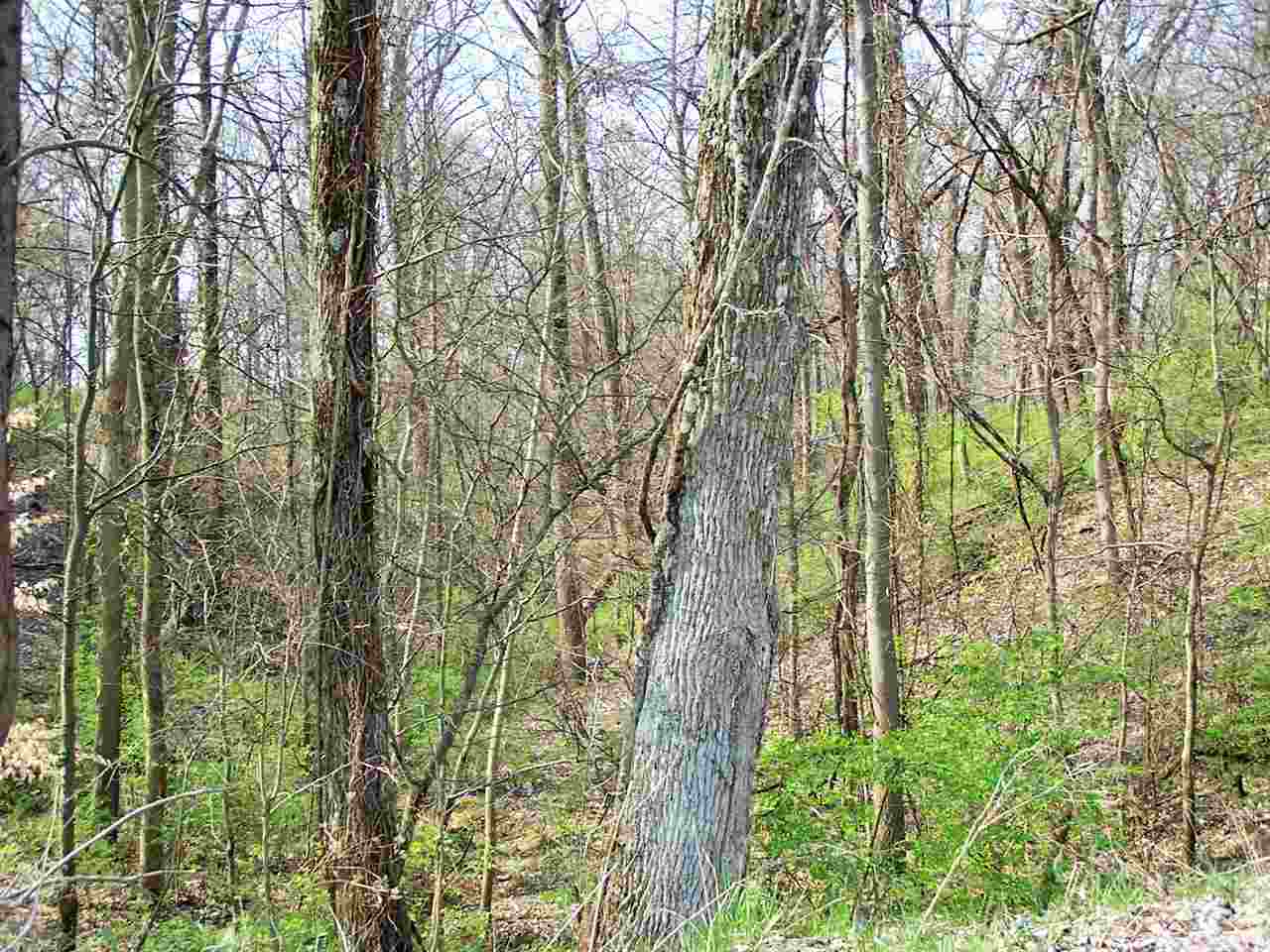 450 North E Road Princeton, IN 47670 - Photo 2 of 5 Gallery Image 2