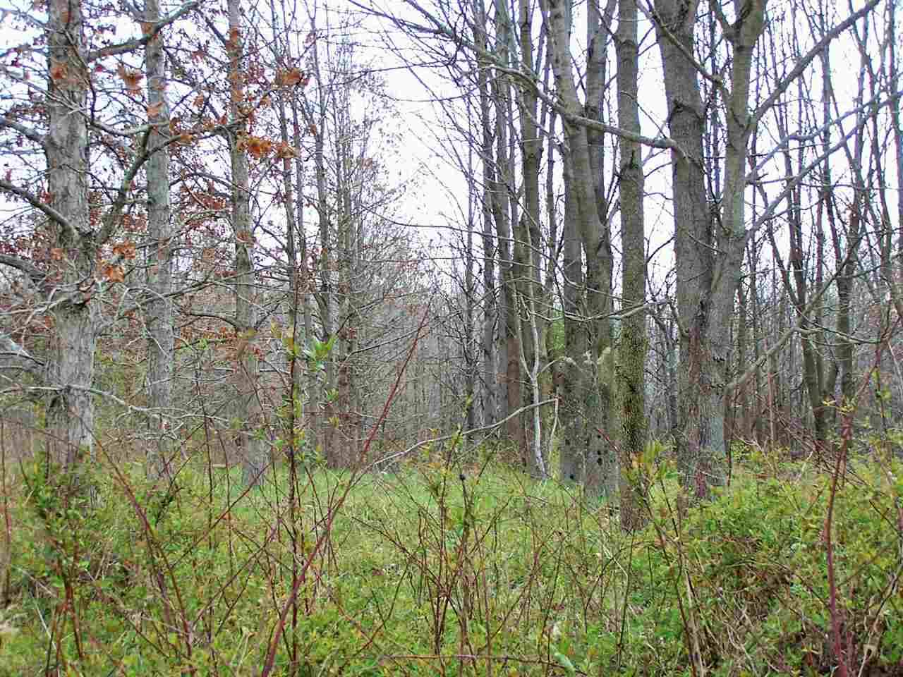 450 North E Road Princeton, IN 47670 - Photo 4 of 5 Gallery Image 4