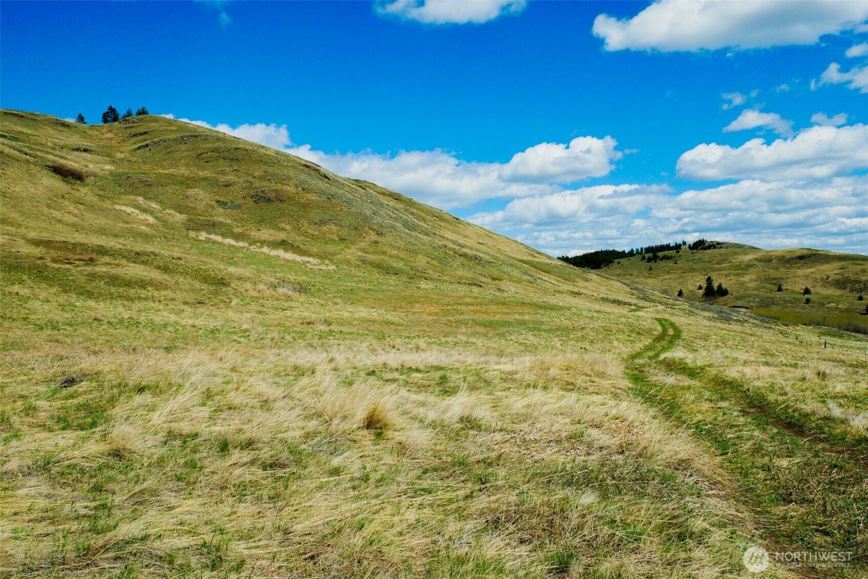 61 Janet Marie Road Oroville, WA 98844 - Photo 11 of 15 a view of a big yard with wooden fence