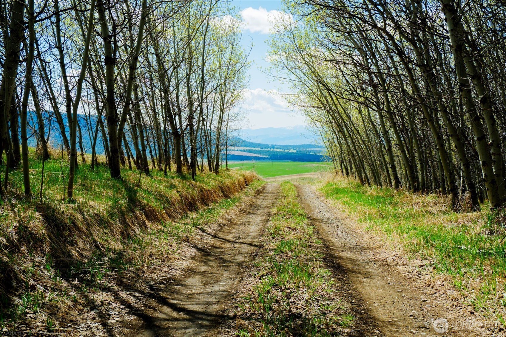 61 Janet Marie Road Oroville, WA 98844 - Photo 14 of 15 a view of yard with green space