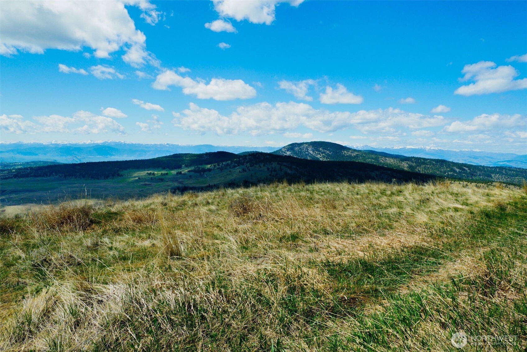 61 Janet Marie Road Oroville, WA 98844 - Photo 7 of 15 a view of a lake from a yard