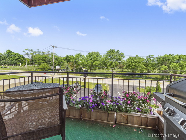 6950 Wolf Road, Unit 203 Indian Head Park, IL 60525 - Photo 5 of 15
