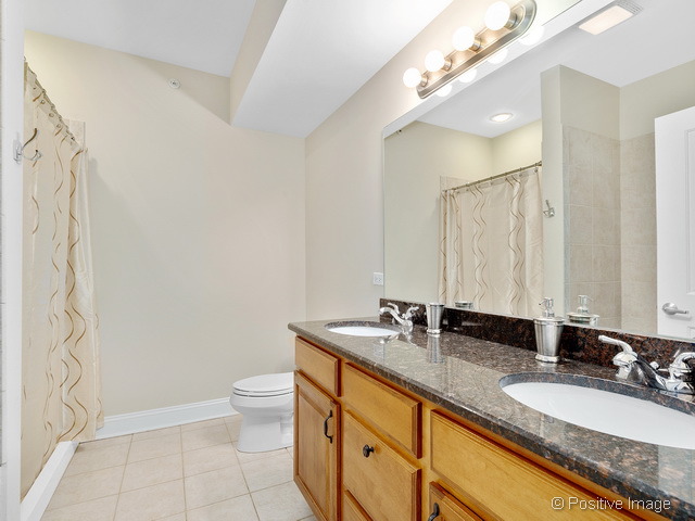 6950 Wolf Road, Unit 203 Indian Head Park, IL 60525 - Photo 10 of 15