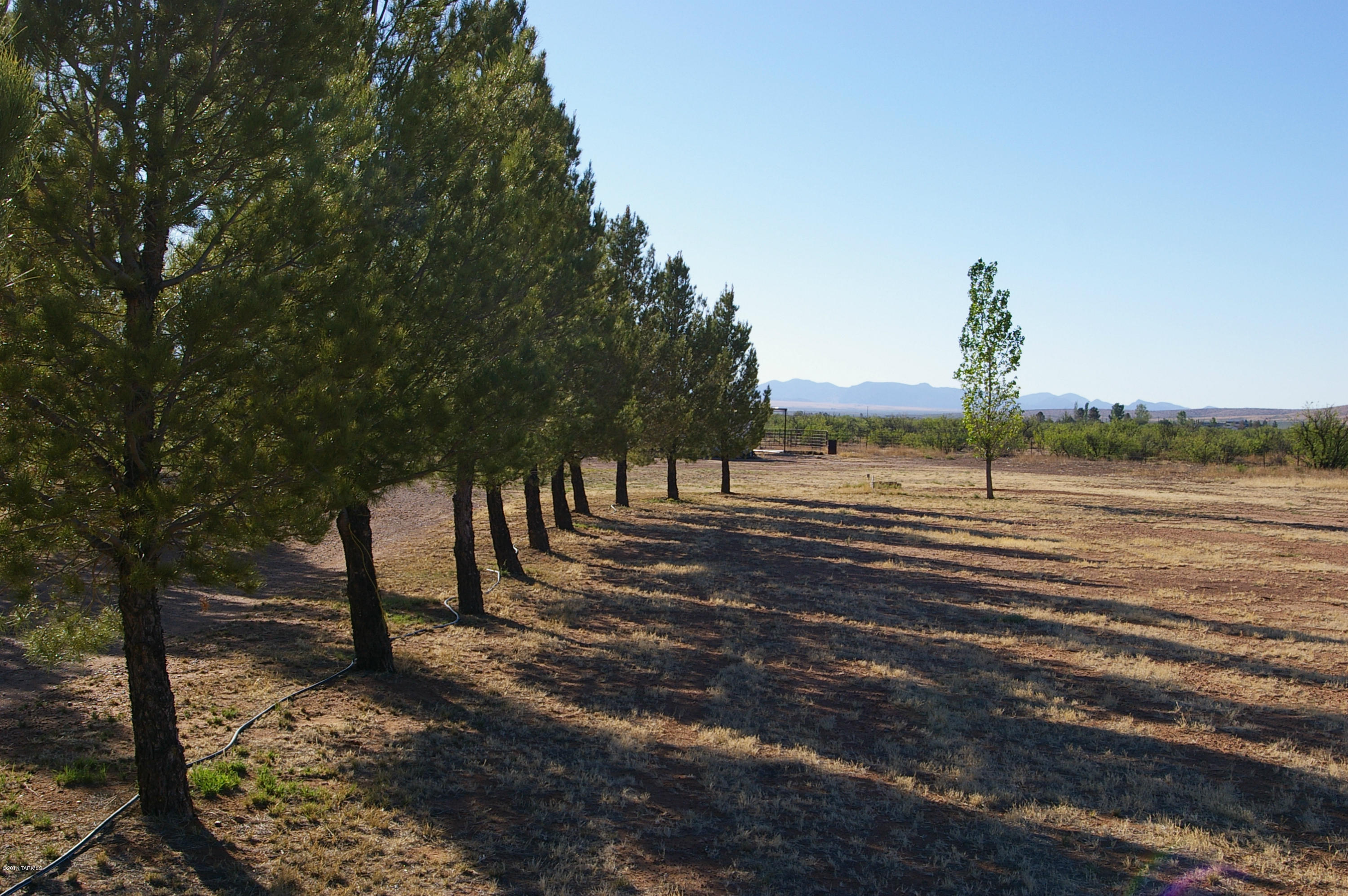 13470 North Morgan Road Pearce, AZ 85625 - Photo 8 of 9 Gallery Image 8
