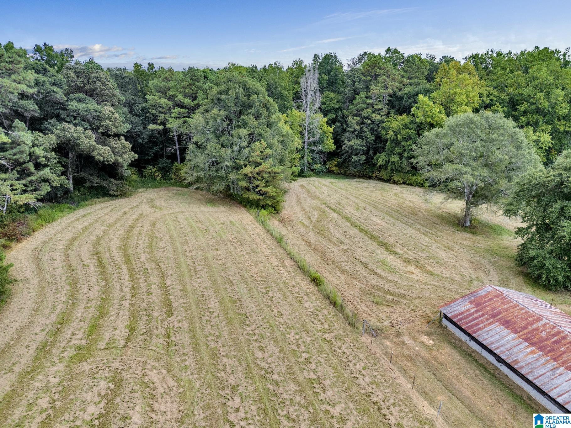 275 Dock Marsh Road Cleveland, AL 35049 - Photo 8 of 34
