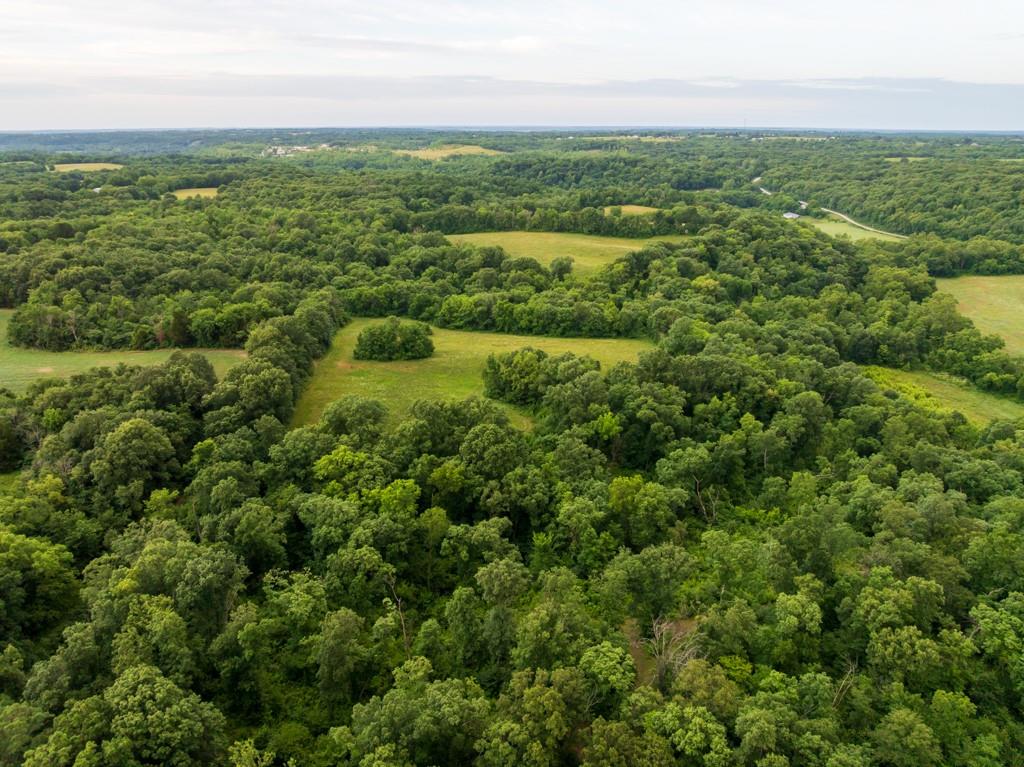 Tbd Norris Road Rayville, MO 64084 - Photo 11 of 35