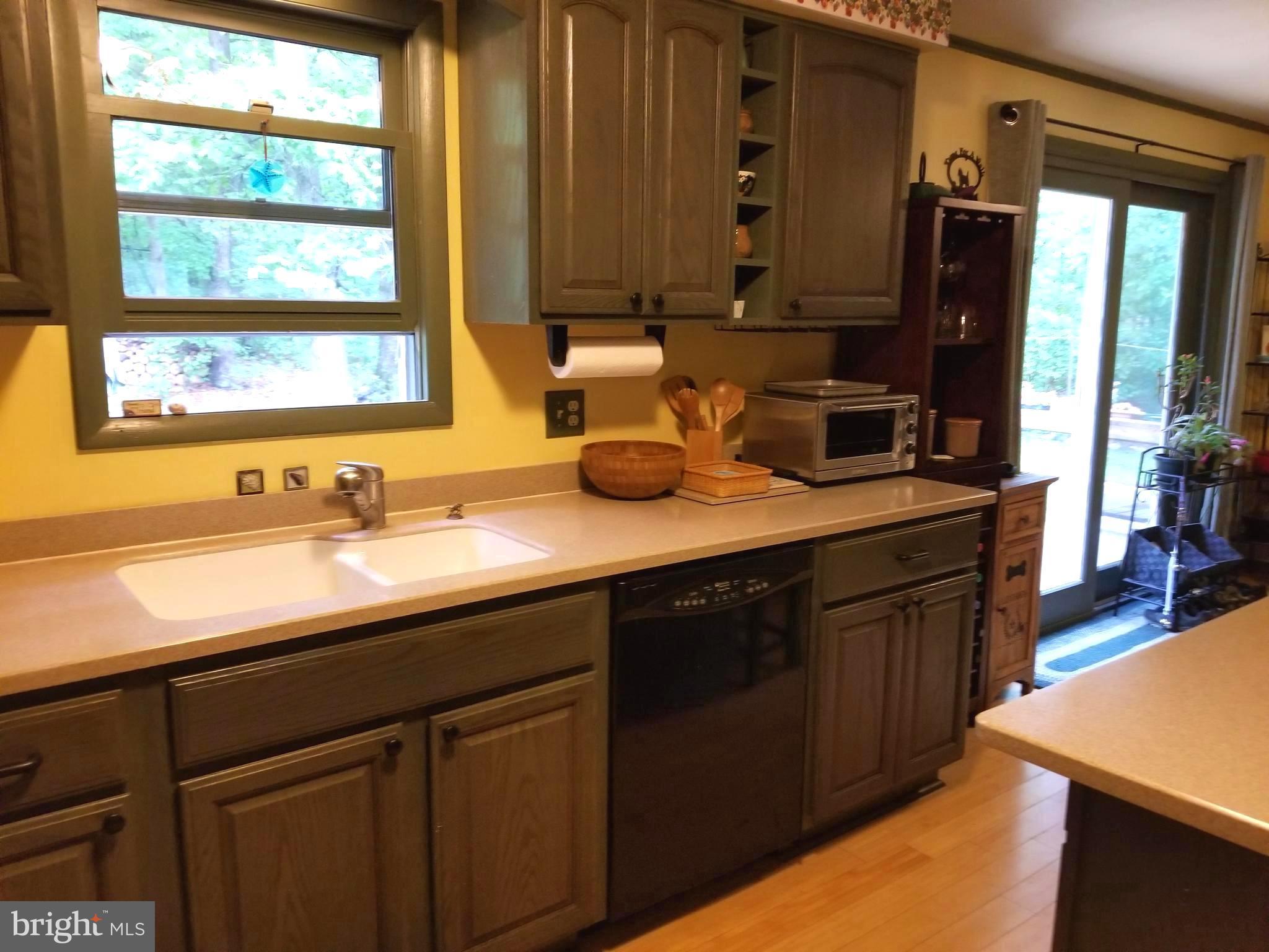 527 Money Road Townsend, DE 19734 - Photo 11 of 100 Kitchen with double sink