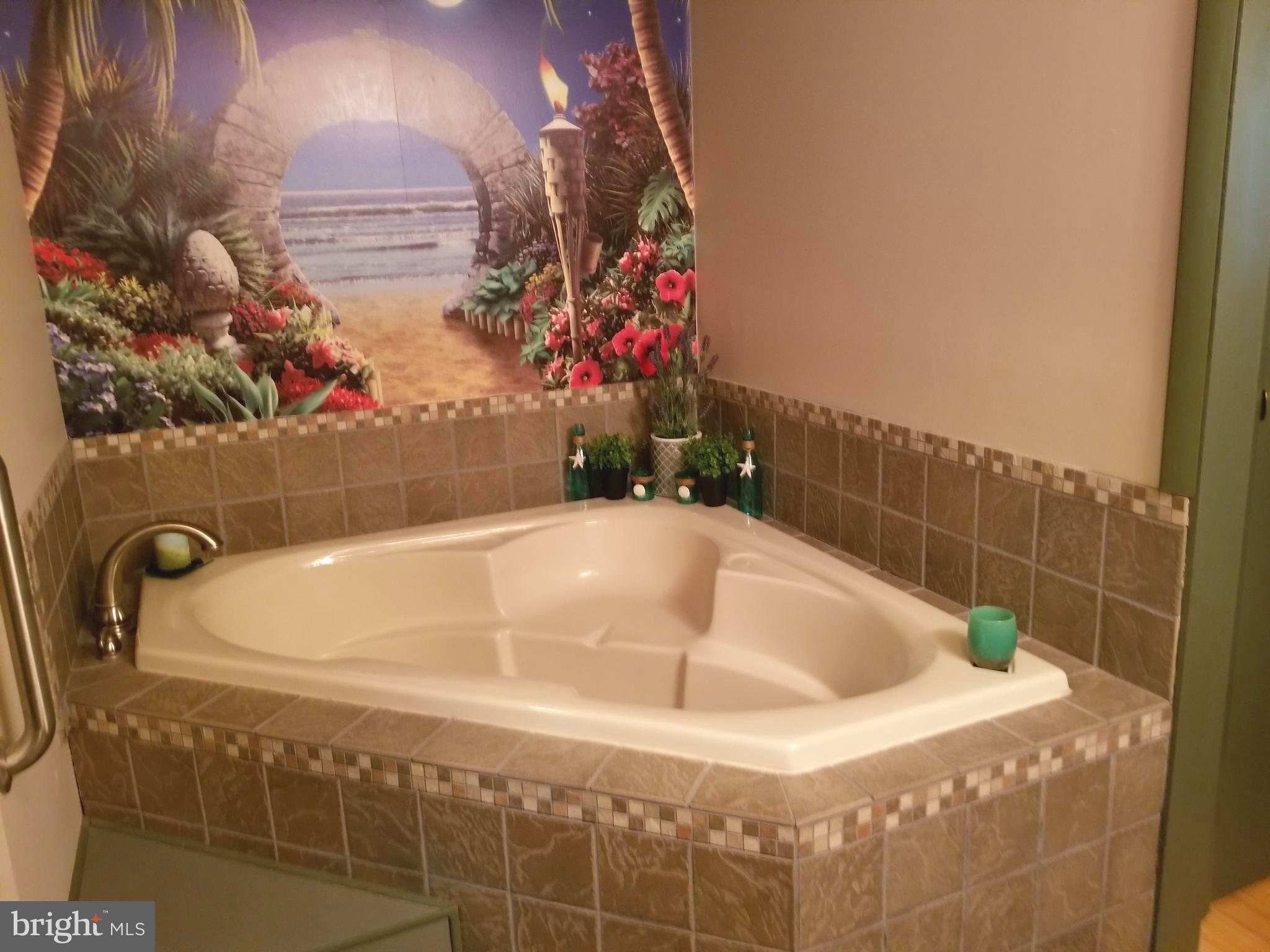 527 Money Road Townsend, DE 19734 - Photo 19 of 100 Large luxurious soaking tub