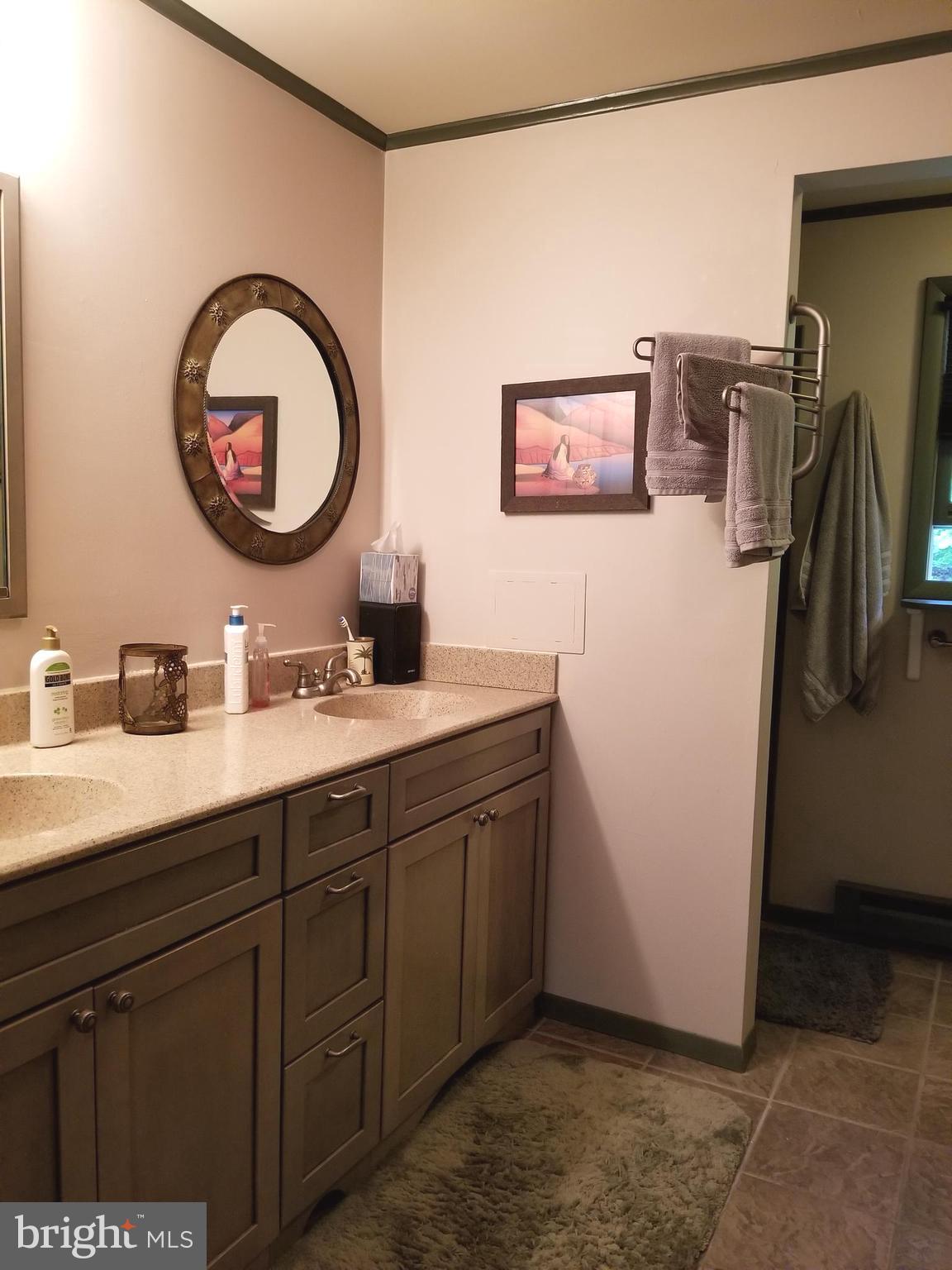 527 Money Road Townsend, DE 19734 - Photo 20 of 100 Double sink in the main bathroom