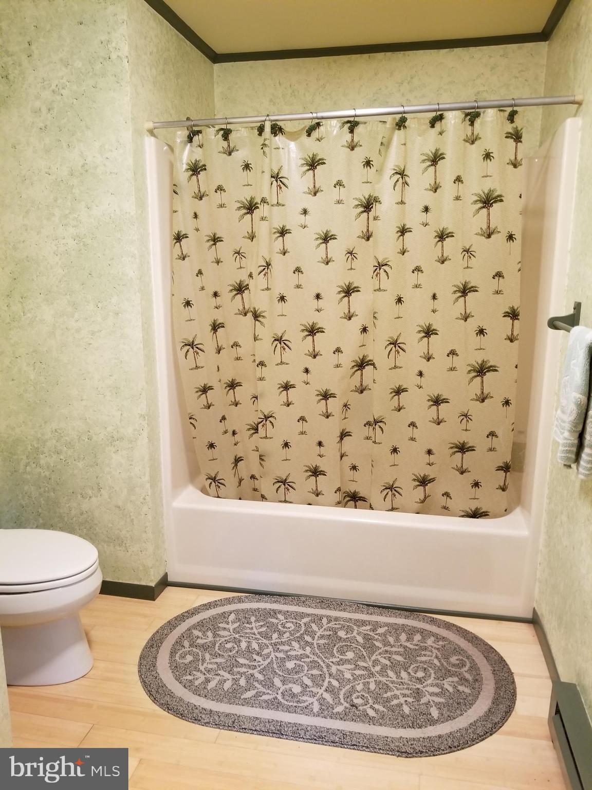 527 Money Road Townsend, DE 19734 - Photo 27 of 100 Bathroom 2 in the main house